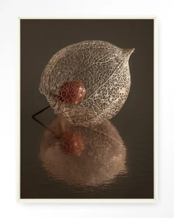 Urban Cotton Wandkleden|Wandkleed De Reflectie Van Vergankelijkheid In Bruintinten in maat en frame naar keuze