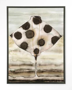 Urban Cotton Wandkleden|Wandkleed Eagle Ray in maat en frame naar keuze