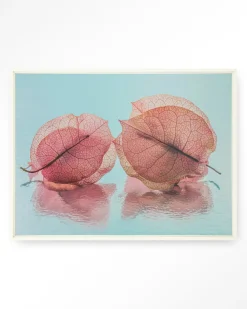 Urban Cotton Wandkleden|Wandkleed Fragiel Maar Samen in maat en frame naar keuze