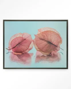 Urban Cotton Wandkleden|Wandkleed Fragiel Maar Samen in maat en frame naar keuze