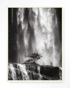 Urban Cotton Wandkleden|Wandkleed Germinate in maat en frame naar keuze