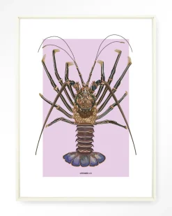 Urban Cotton Wandkleden|Wandkleed Langosta in maat en frame naar keuze