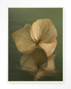Urban Cotton Wandkleden|Wandkleed Leaf Me: In Reflection in maat en frame naar keuze