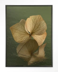 Urban Cotton Wandkleden|Wandkleed Leaf Me: In Reflection in maat en frame naar keuze