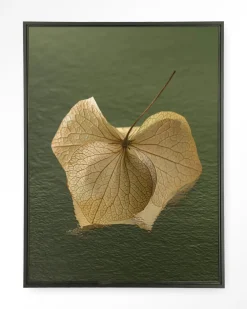 Urban Cotton Wandkleden|Wandkleed Leaf Me: In The Green in maat en frame naar keuze