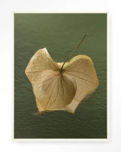 Urban Cotton Wandkleden|Wandkleed Leaf Me: In The Green in maat en frame naar keuze