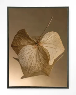 Urban Cotton Wandkleden|Wandkleed Leaf Me: Sheltered in maat en frame naar keuze