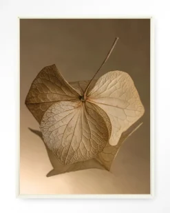Urban Cotton Wandkleden|Wandkleed Leaf Me: Sheltered in maat en frame naar keuze
