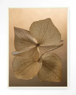 Urban Cotton Wandkleden|Wandkleed Leaf Me: Unfolded in maat en frame naar keuze