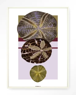 Urban Cotton Wandkleden|Wandkleed Marinus 1 in maat en frame naar keuze