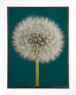 Urban Cotton Wandkleden|Wandkleed Pluizige Paardenbloem in maat en frame naar keuze