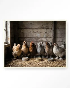 Urban Cotton Wandkleden|Wandkleed The Chicken Barn in maat en frame naar keuze