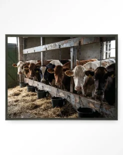 Urban Cotton Wandkleden|Wandkleed The Cow Barn in maat en frame naar keuze