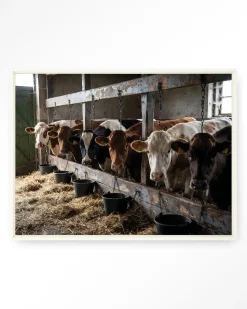 Urban Cotton Wandkleden|Wandkleed The Cow Barn in maat en frame naar keuze