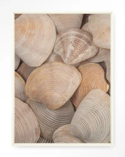 Urban Cotton Wandkleden|Wandkleed Tijdloze Rust: In Een Zee Van Schelpen in maat en frame naar keuze