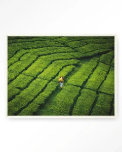 Urban Cotton Wandkleden|Wandkleed Tote Pengalengan in maat en frame naar keuze