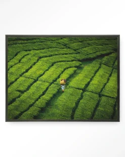 Urban Cotton Wandkleden|Wandkleed Tote Pengalengan in maat en frame naar keuze