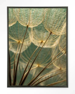 Urban Cotton Wandkleden|Wandkleed Van Abstractie Tot Detail in maat en frame naar keuze