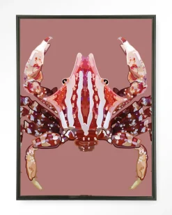 Urban Cotton Wandkleden|Wandkleed Villo Donus in maat en frame naar keuze