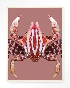 Urban Cotton Wandkleden|Wandkleed Villo Donus in maat en frame naar keuze