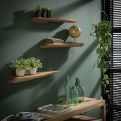 LifestyleFurn Wandrekjes & Wandplanken|Wandplank Erica Boomstam, Set van 3 stuks Massief acacia naturel